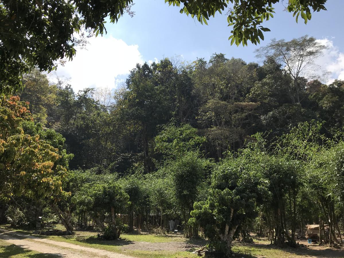 สวนฉัน Igarden Hotel Ban Pang Champi Bagian luar foto